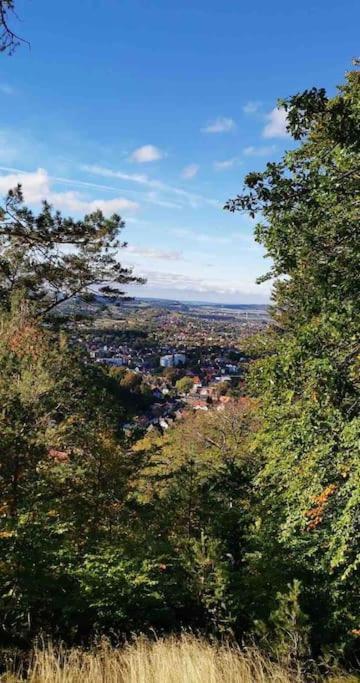 Ferienwohnung Am Burgberg In Bad Harzburg Exteriér fotografie